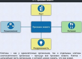 Интерактивные курсы. Биология 5 класс. Базовый - fgospostavki.ru - Иркутск