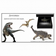 Голографический 3D контент - fgospostavki.ru - Иркутск