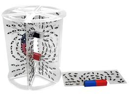 Модель для демонстрации в объеме линий магнитного поля - fgospostavki.ru - Иркутск