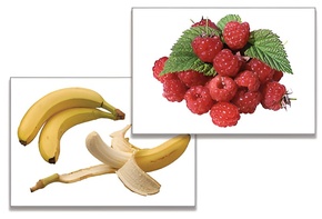 Дидактическое пособие "Фрукты, ягоды, орехи" (24 карточки) - fgospostavki.ru - Иркутск