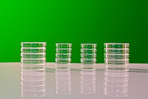 Набор чашек Петри - fgospostavki.ru - Иркутск