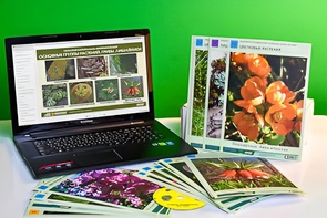 Гербарий натурально-интерактивный "Основные группы растений. Грибы. Лишайники" - fgospostavki.ru - Иркутск