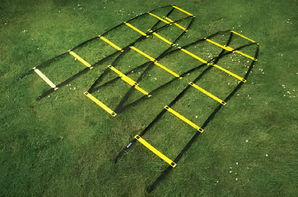 Лестница для тренировок (вариант 1) - fgospostavki.ru - Иркутск