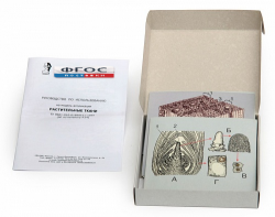 Модель-аппликация "Растительные ткани" (набор из 15 карт) - fgospostavki.ru - Иркутск