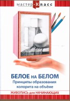 DVD "Мастер-класс. Живопись для начинающих. Белое на белом. Принципы образования колорита на объеме" - fgospostavki.ru - Иркутск