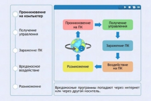 Интерактивные курсы. Информатика 10 класс . Базовый. - fgospostavki.ru - Иркутск