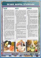 Стенд "Белки. Жиры. Углеводы" - fgospostavki.ru - Иркутск