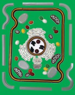 Модель-аппликация "Строение клетки" (набор из 54 пластмассовых фигур) - fgospostavki.ru - Иркутск