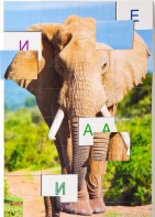 Магнитная орфография (безударные гласные, 1 класс) "Слон" - fgospostavki.ru - Иркутск