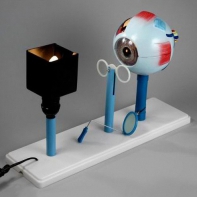 Модель "Зрение" (электрическая) - fgospostavki.ru - Иркутск