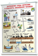Плакаты по общей экологии для оформления кабинета. - fgospostavki.ru - Иркутск