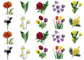 Комплект карточек "Запоминай, играй, считай" - Цветы - fgospostavki.ru - Иркутск