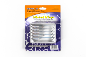 Набор микропрепаратов для микроскопа №5 «Насекомые» - fgospostavki.ru - Иркутск