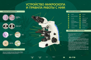Электрифицированный стенд "Устройство микроскопа и правила работы c ним" - fgospostavki.ru - Иркутск