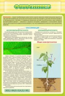 Стенд "Фотосинтез" - fgospostavki.ru - Иркутск