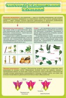 Стенд "Способы размножения растений" - fgospostavki.ru - Иркутск