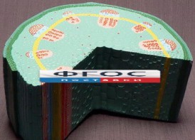 Модель "Стебель растения" - fgospostavki.ru - Иркутск