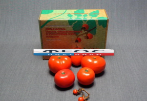 Набор муляжей "Дикая форма и культурные сорта томатов" - fgospostavki.ru - Иркутск
