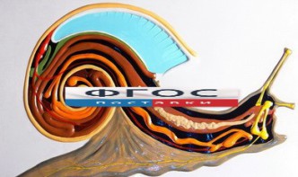 Модель барельефная "Внутреннее строение брюхоногого моллюска" - fgospostavki.ru - Иркутск