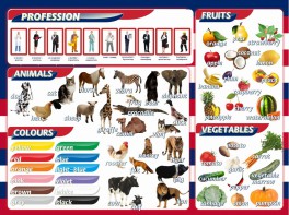 Стенд "Цвета, животные, профессии, фрукты, овощи" - fgospostavki.ru - Иркутск