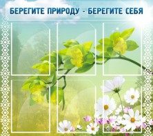 Стенд "Берегите природу - берегите себя" - fgospostavki.ru - Иркутск