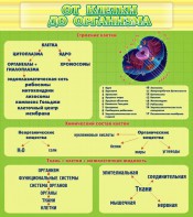 Стенд "От клетки до организма" - fgospostavki.ru - Иркутск