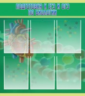 Стенд "Подготовка к ЕГЭ и ОГЭ по биологии" Вариант 1 - fgospostavki.ru - Иркутск