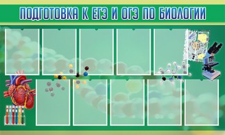 Стенд "Подготовка к ЕГЭ и ОГЭ по биологии" Вариант 2 - fgospostavki.ru - Иркутск