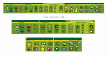 Стенд "Классификация растений" - fgospostavki.ru - Иркутск