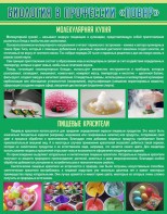 Стенд "Биология в профессии "повар"" - fgospostavki.ru - Иркутск