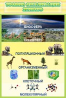 Стенд "Уровни организации живого" - fgospostavki.ru - Иркутск