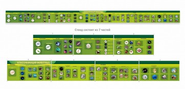 Стенд "Классификация групп животных" - fgospostavki.ru - Иркутск