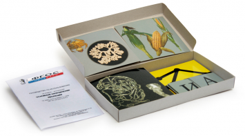 Модель-аппликация "Основные направления эволюции" (набор из 33 карт) - fgospostavki.ru - Иркутск