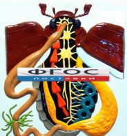 Модель барельефная "Внутреннее строение жука" - fgospostavki.ru - Иркутск