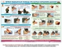 Комплект плакатов "Оказание первой доврачебной медицинской помощи" - fgospostavki.ru - Иркутск