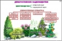Комплект кодотранспарантов "Культурные растения" - fgospostavki.ru - Иркутск