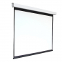 Экран настенный с электроприводом DSEF-16909 - fgospostavki.ru - Иркутск